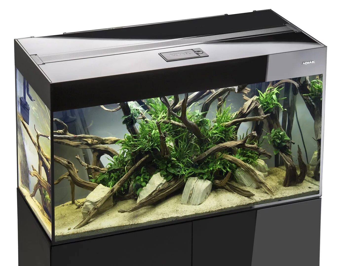 Аквариум 54л aquael leddy. Аквариум акваэль. Aquael hexagon 40/45 аквариум. Аквариум aquael 60. Аквариум aquael 80.