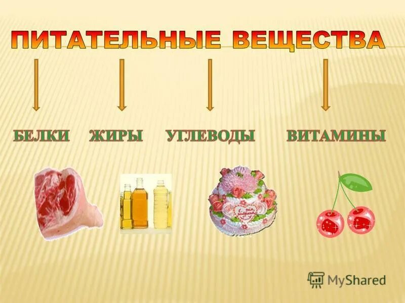 Основные пищевые вещества белки жиры углеводы. Питательные вещества белки жиры углеводы. Пища и питательные вещества. Питательные вещества для детей. Питание белки жиры углеводы витамины