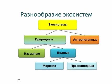 Отношения в естественных экосистемах