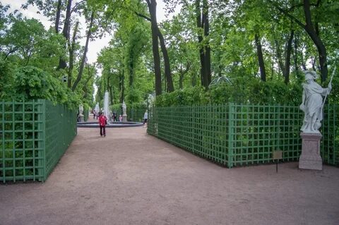 Крыша летнего сада