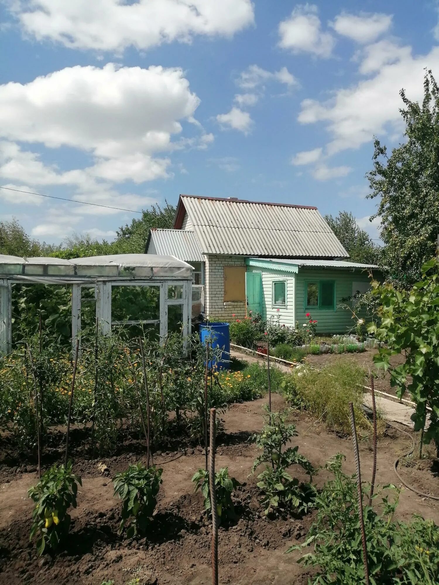 Детские дачи новокуйбышевск. Детские дачи новокуйбышевск. Дача в новокуйбышевске. Дача в новокуйбышевске. Детские дачи новокуйбышевск фото.
