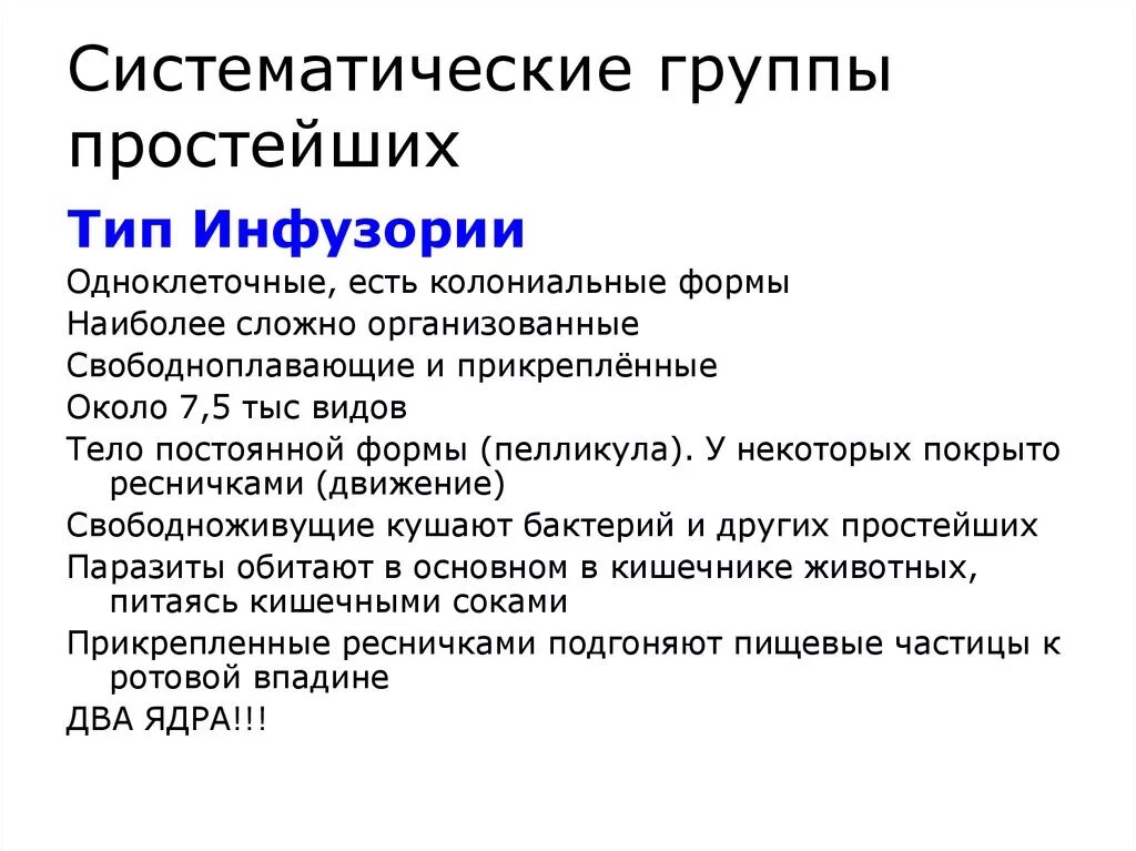 Представители группы простейших. Систематические группы животных типа простейшие. Классификация простейших. Основные систематические группы простейших. Тип простейшие.