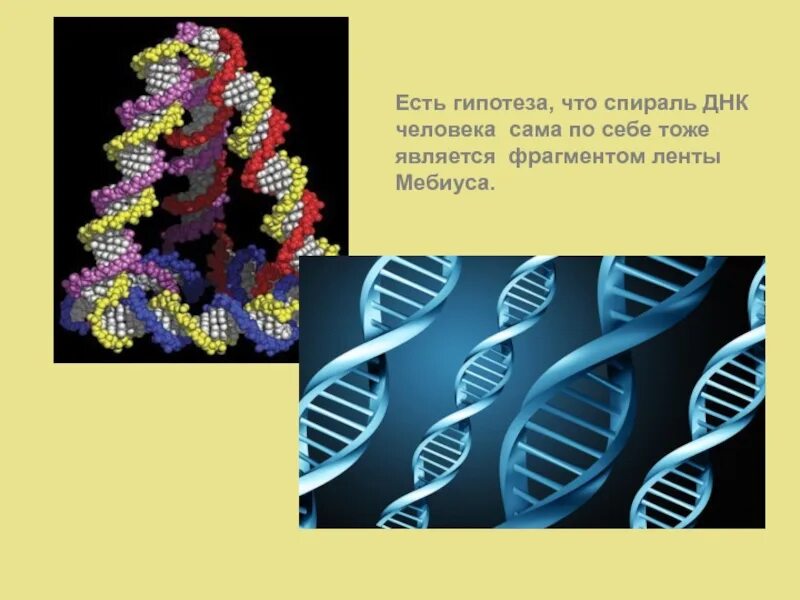 Существует предположение