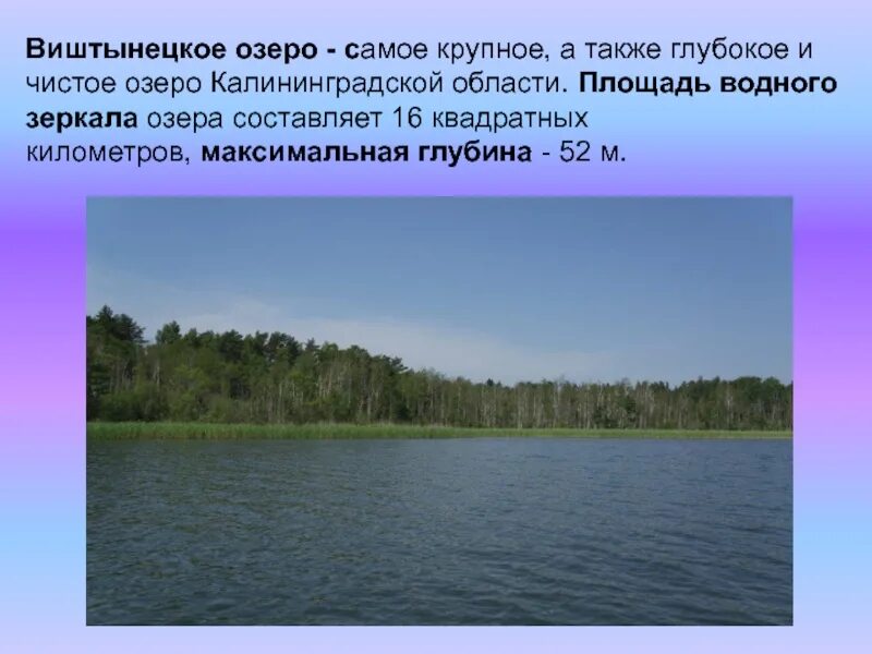 Виштынецкое озеро. Виштынецкое озеро Калининградская. Озеро Виштынец Калининградская область. Виштынецкое озеро Калининград. Максимальная глубина виштенец