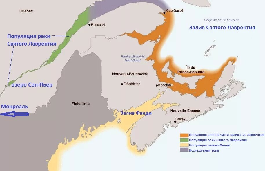 Река Святого Лаврентия на карте. Gulf of Saint Lawrence Map. Залив Святого Лаврентия на карт. Битва в заливе Святого Лаврентия. Где на карте залив святого лаврентия