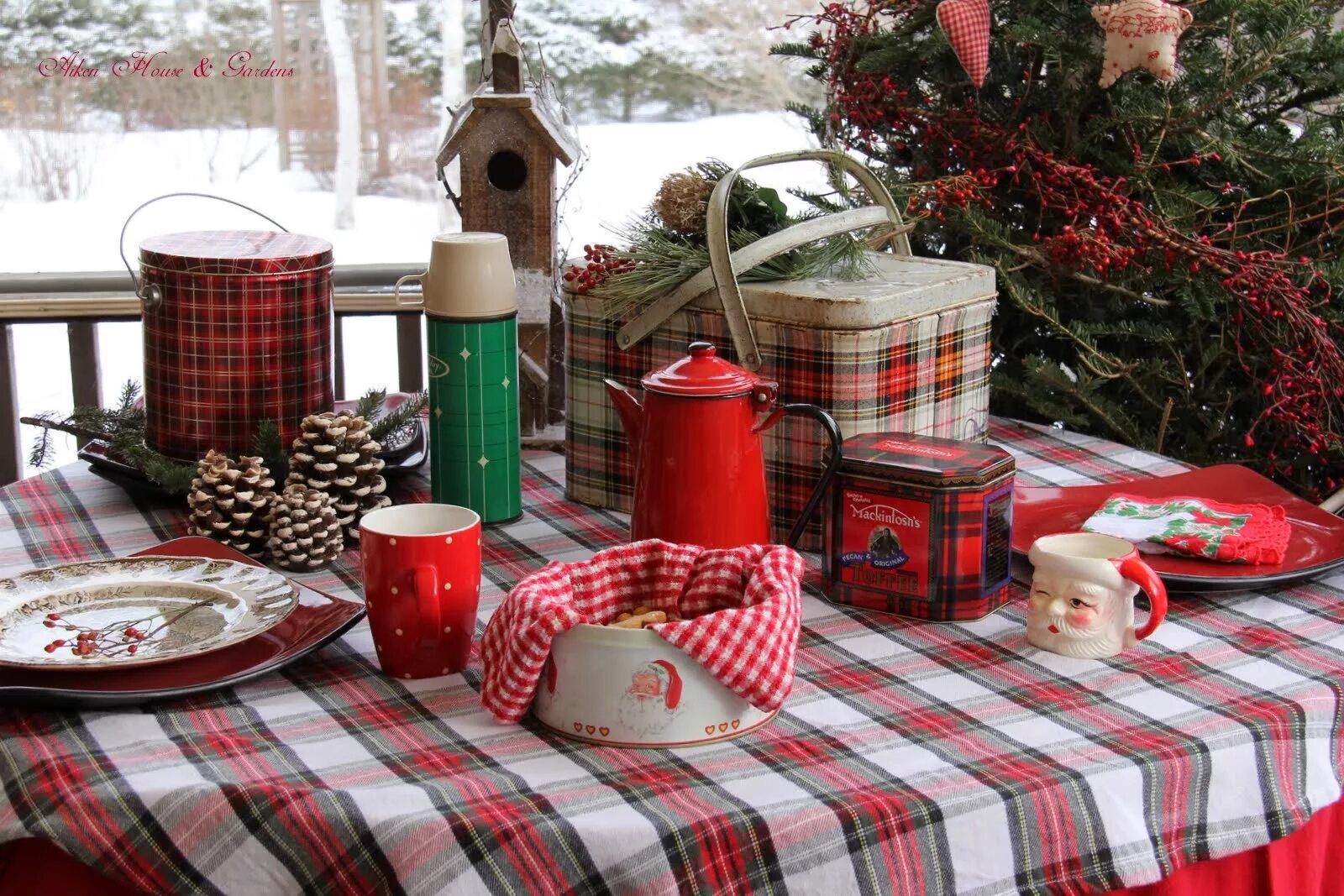 Пикник на снегу. Зимний пикник. Пикник зимой на природе. Пикник зимой. Застолье на природе зимой.