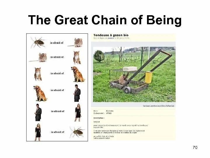 Causation and laws of nature. The great chain. Античная идея великой цепи бытия что это. Цепи бытия. The great chain.