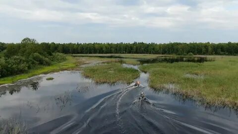 Плыть в устье реки