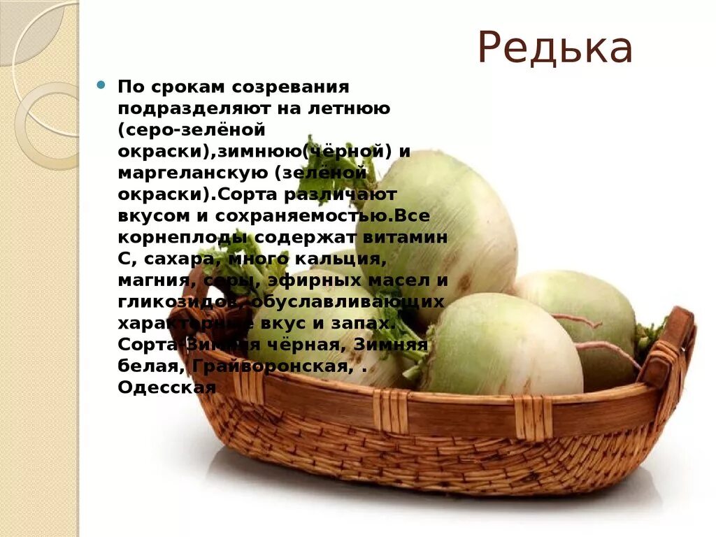 Польза зеленой редьки. Редька витамины. Редька какие витамины содержит. Витамины в редьке зеленой. Какие витамины содержатся в редьке.