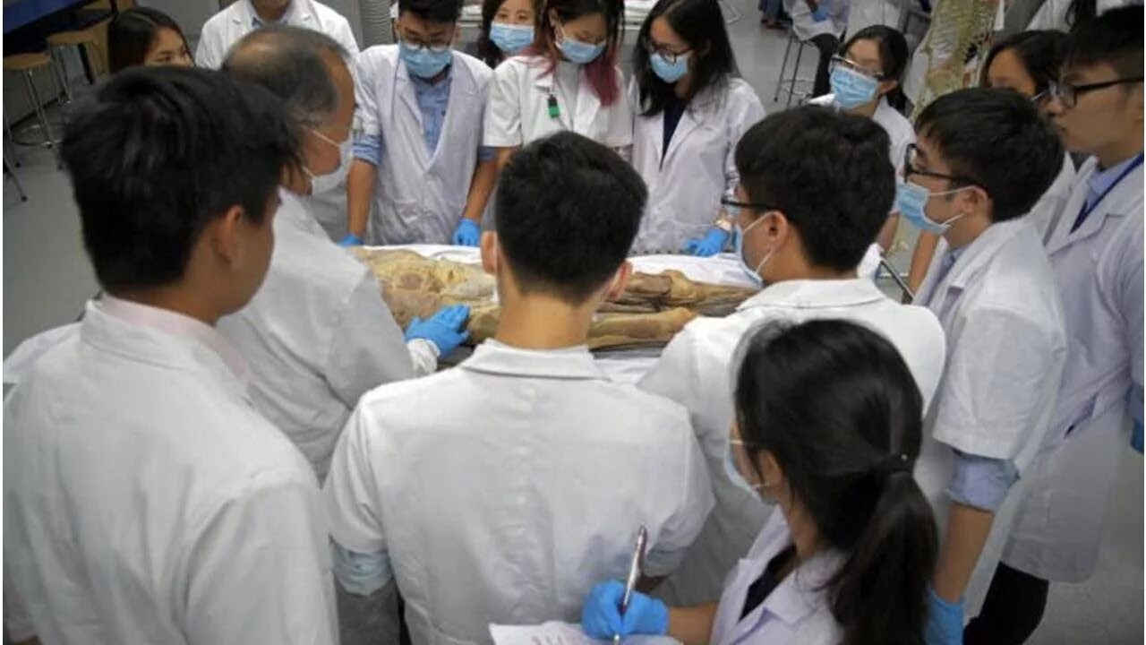 Школы дзюку япония. Japanese medical school. Сингапур медицинский университет. Медицина в японии. Japanese medical school.