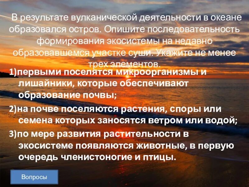 Результаты вулканической деятельности