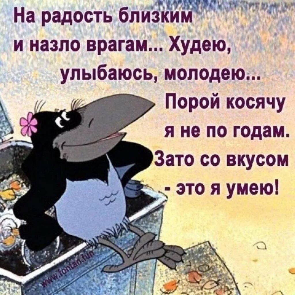 Лучшие цитаты юмор. Смешные цитаты. веселые афоризмы. прикольные высказывания. афоризмы картинки с юмором.