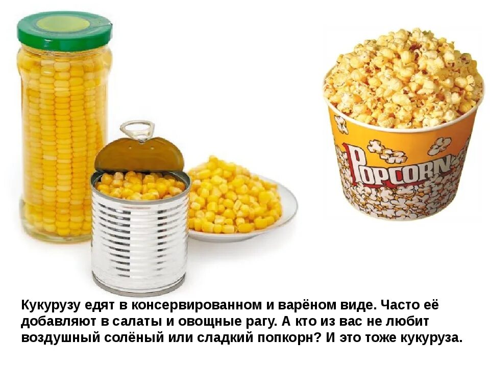 Можно ли есть консервированный