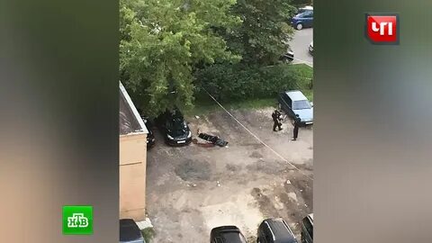 Фото девочки расстрелявшей в брянске