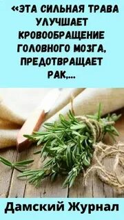 Какая трава улучшает