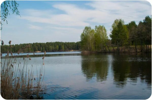 Озеро белое село Покровское. Озеро белое Покров. Черное озеро Покров. Торфяное озеро Владимирская область. Покровское озеро большое