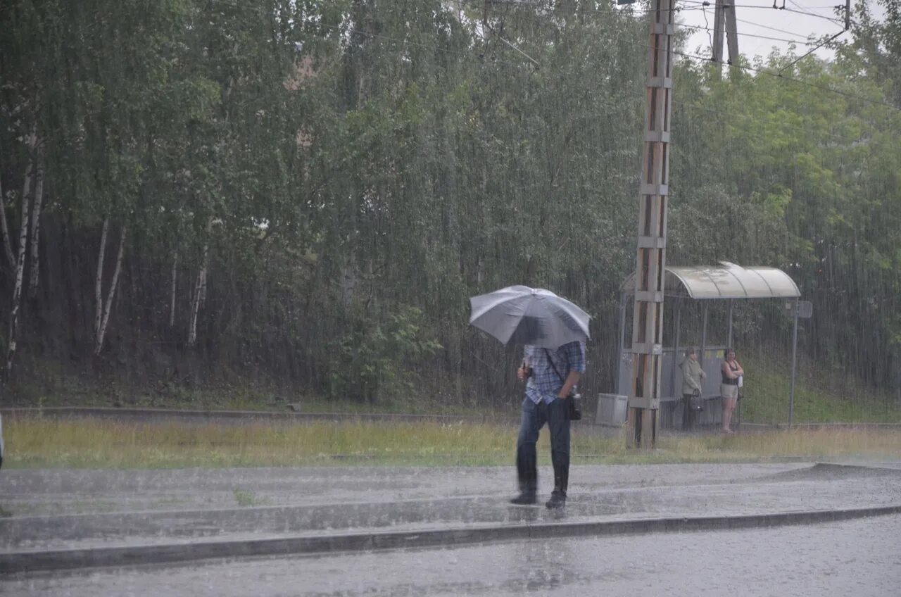 Ближайшее время дождя. Штормовое предупреждение. Сильный дождь. Усиление ветра. Сильный ветер и дождь.