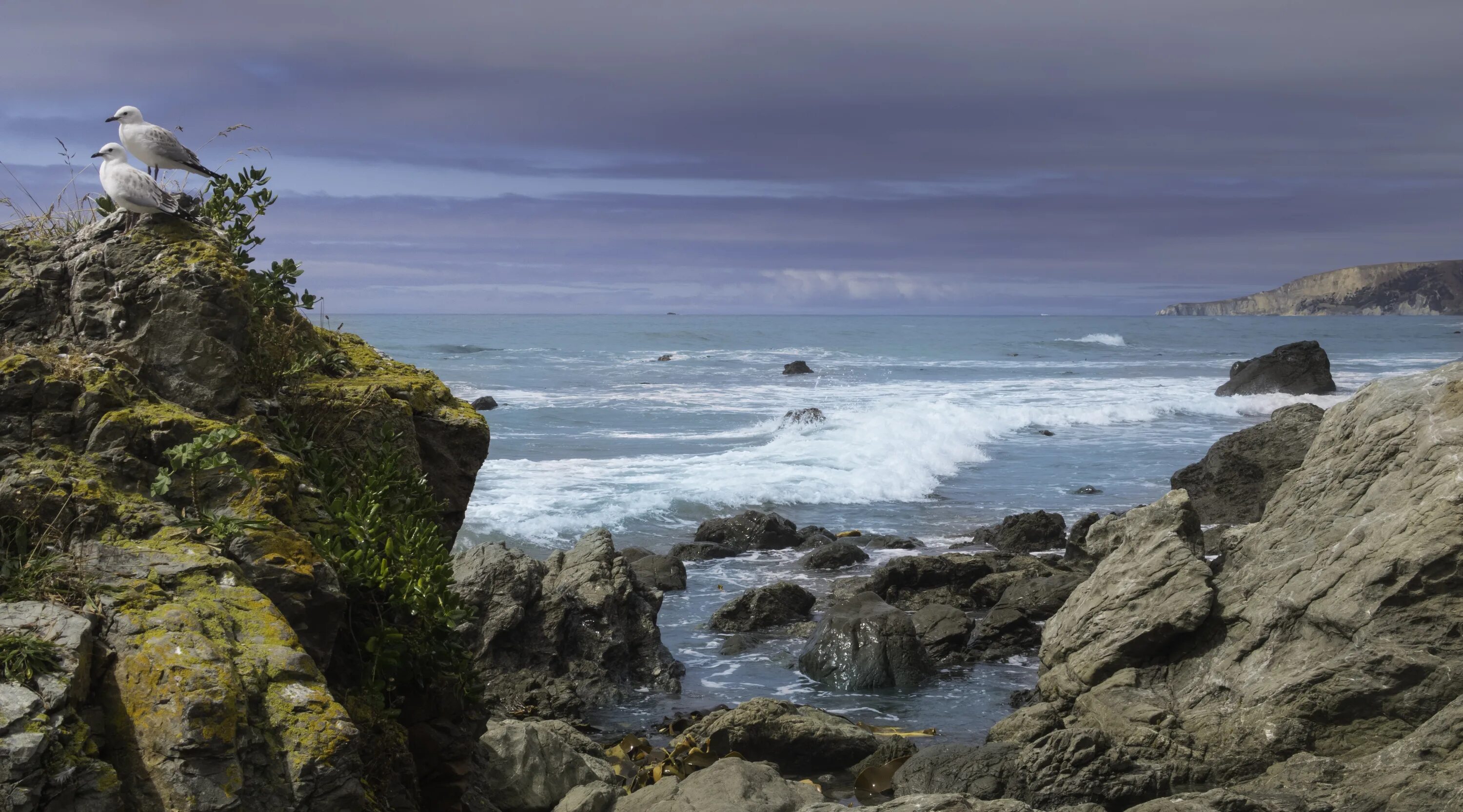 Новая зеландия тихий океан. Море скалы Чайки. Острова южных морей. Картинки море скалы Чайки.