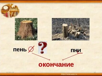 Слово п н е