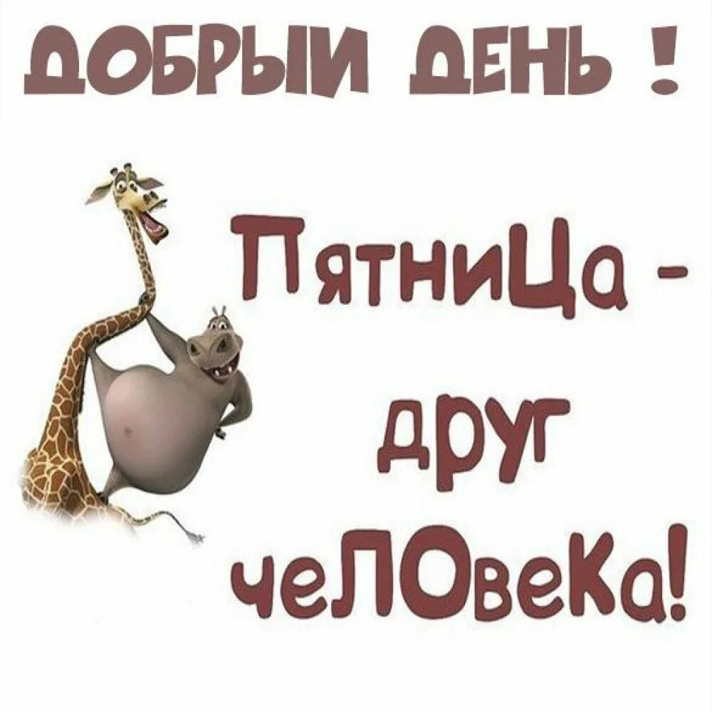Добрый утро добрый день пятница. Доброго дня пятницы. открытки с добрым утром прикольные. хорошего дня смешные. открытки доброе утро пятница.