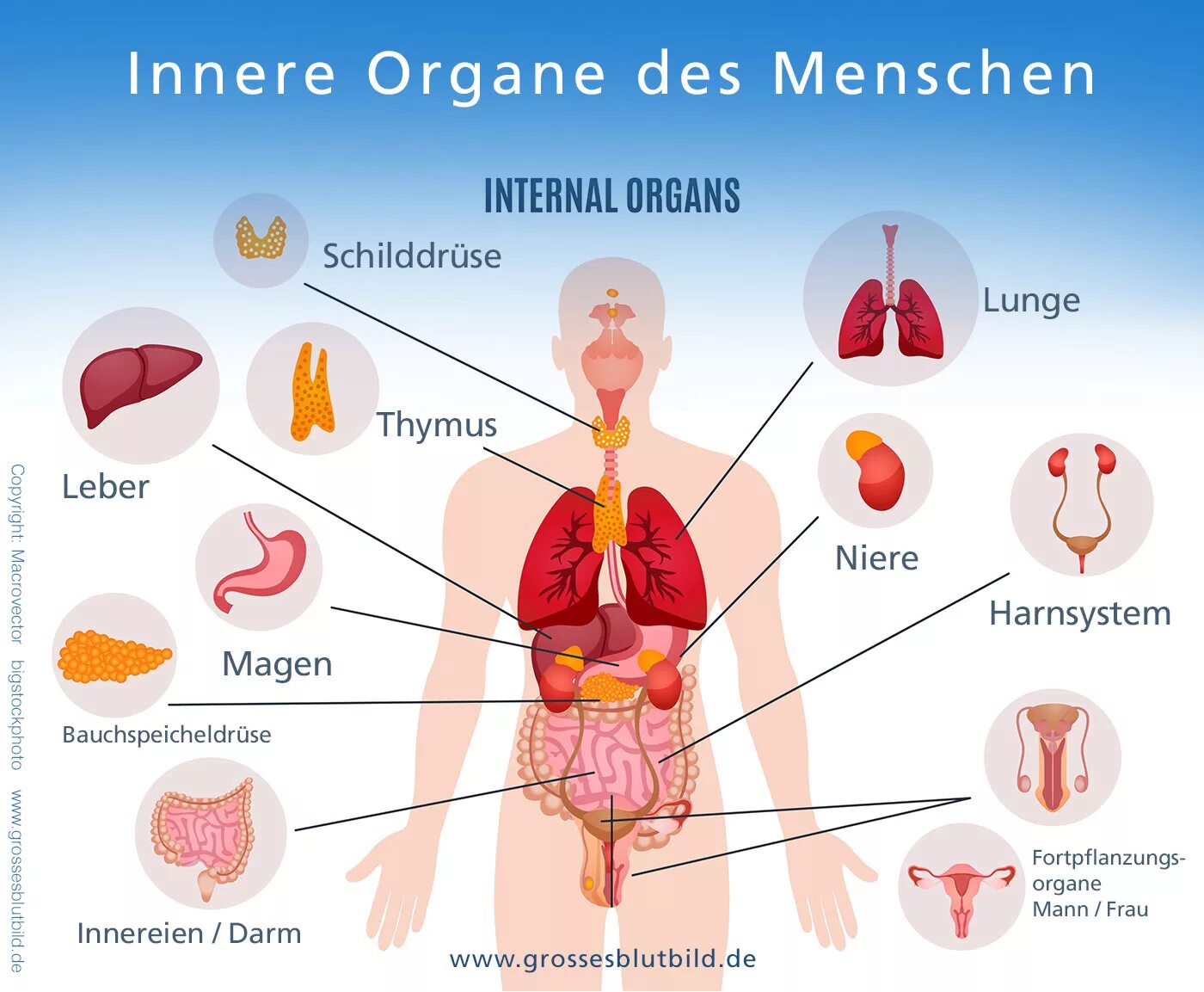 Des menschen