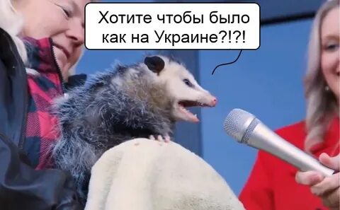 Кричал на бегу