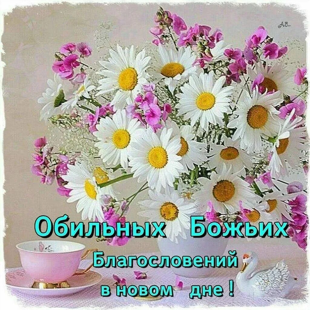 Доброе утро благословение на день. Доброе утро благословенного дня. С добрым утром божьего благословения. Христианские пожелания с добрым утром. Православные пожелания с добрым утром.