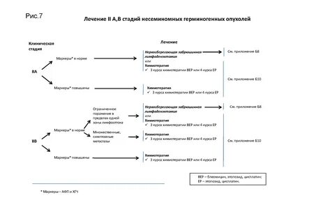 Герминогенные опухоли у мужчин по утвержденным