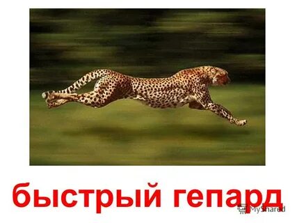Какой быстрый сайт