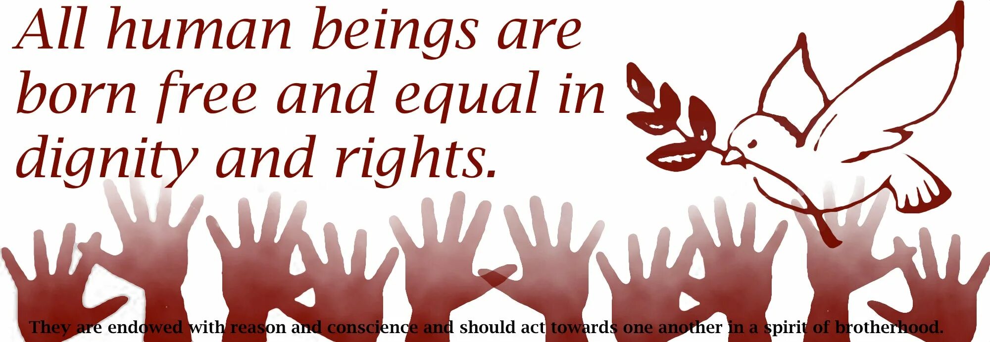 Day right. Human rights. human rights картинки. права человека. день прав человека.