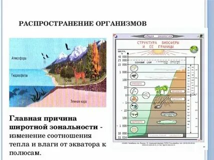 Закономерности распределения природных зон