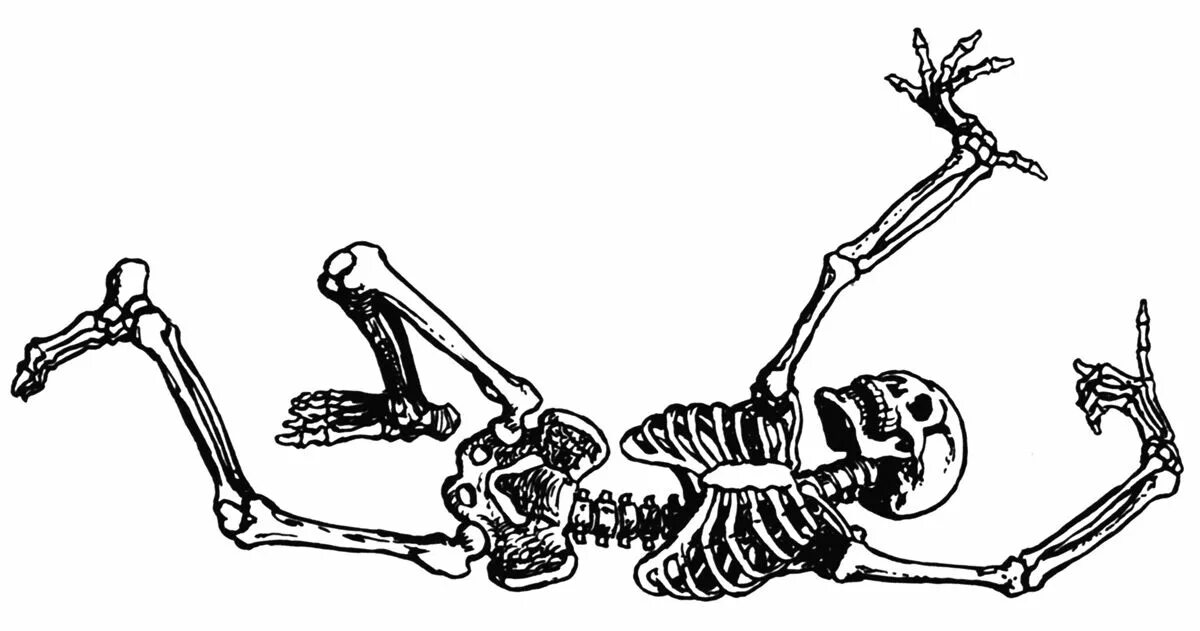 Skeleton like