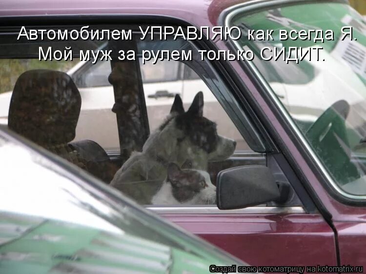 Час позора. Молодежь устроила публичную оргию в центре москвы. Добби свободен. Час позора. Машина позор.