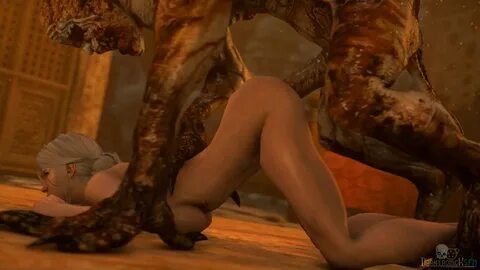 The Witcher Animations 