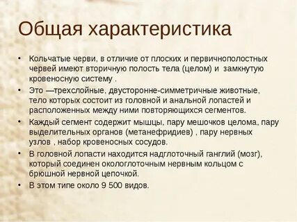 Какие общие признаки червей