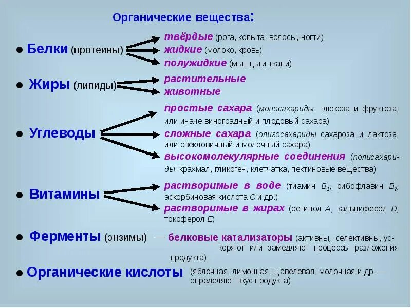 Тест по теме органические соединения. Белки органические вещества. Твердые органические соединения. Твердые белки. Белок органическое вещество.