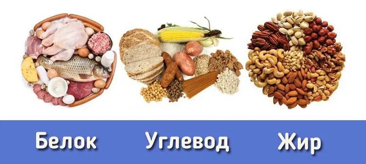 Как называется когда не можешь набрать вес. Что нужно есть бы набрать вес. как набрать вес. что нужно есть чтобы набрать вес. продукты чтобы потолстеть быстро.