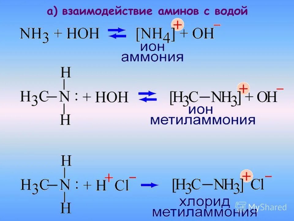 Хлорид водорода связь. Амины взаимодействуют с водой. Реакция Аминов с водой. Взаимодействие Аминов с водой. Амины взаимодействие.