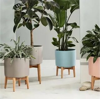 Plant series