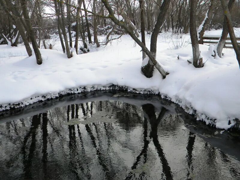 Погода в веселом белгородской области красногвардейского района. Красногвардейский район село веселое пруд. Красногвардейский р Родник Крещенский вода. Купель село веселое Красногвардейский. Село веселое Белгородская область.