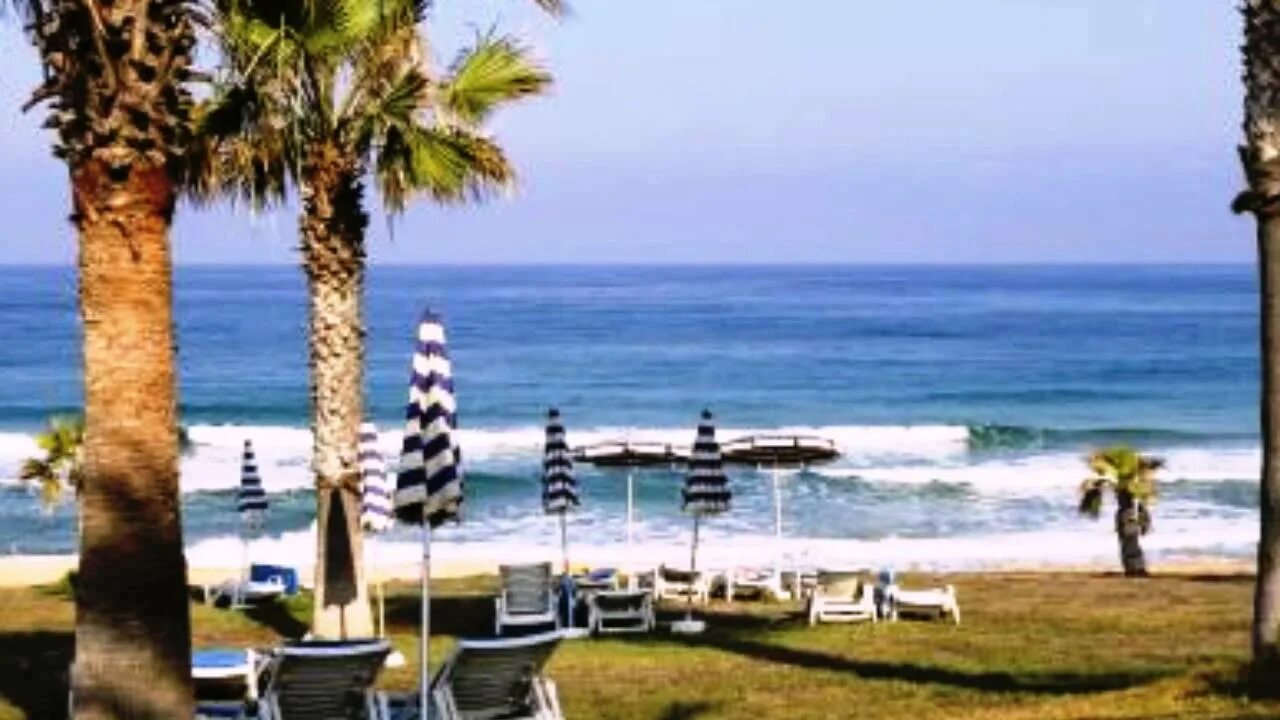 Venus beach hotel пляж. Venus пляж. Венус бич пафос. Venus beach hotel кипр. Venus beach hotel пляж.