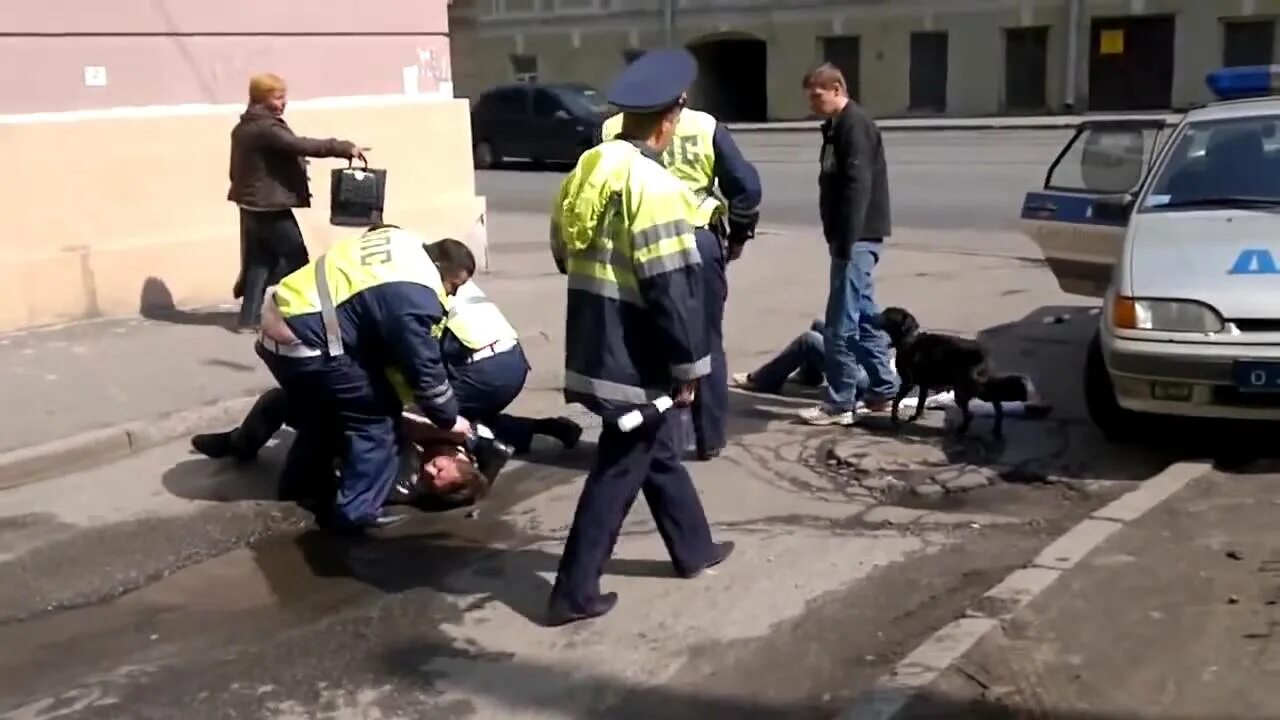 Водитель ударил гаишника. Избиение сотрудника дпс. Побитая собака инспектор дпс. Избитая гаишником. Нападения на сотрудника дпс в питере.