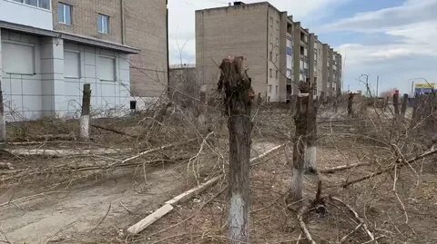 Раз около