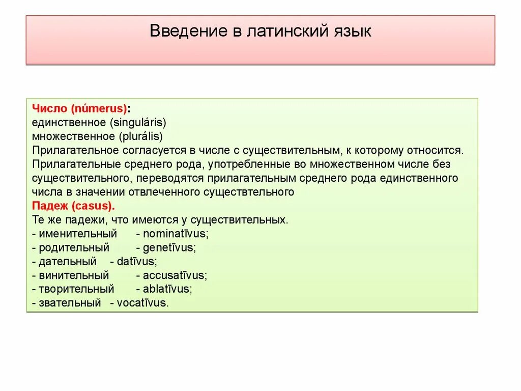 Введение в латинский язык. Для введения на латинском. Язык на латинском языке. Латинский язык на латинском. Сообщество по латыни 10