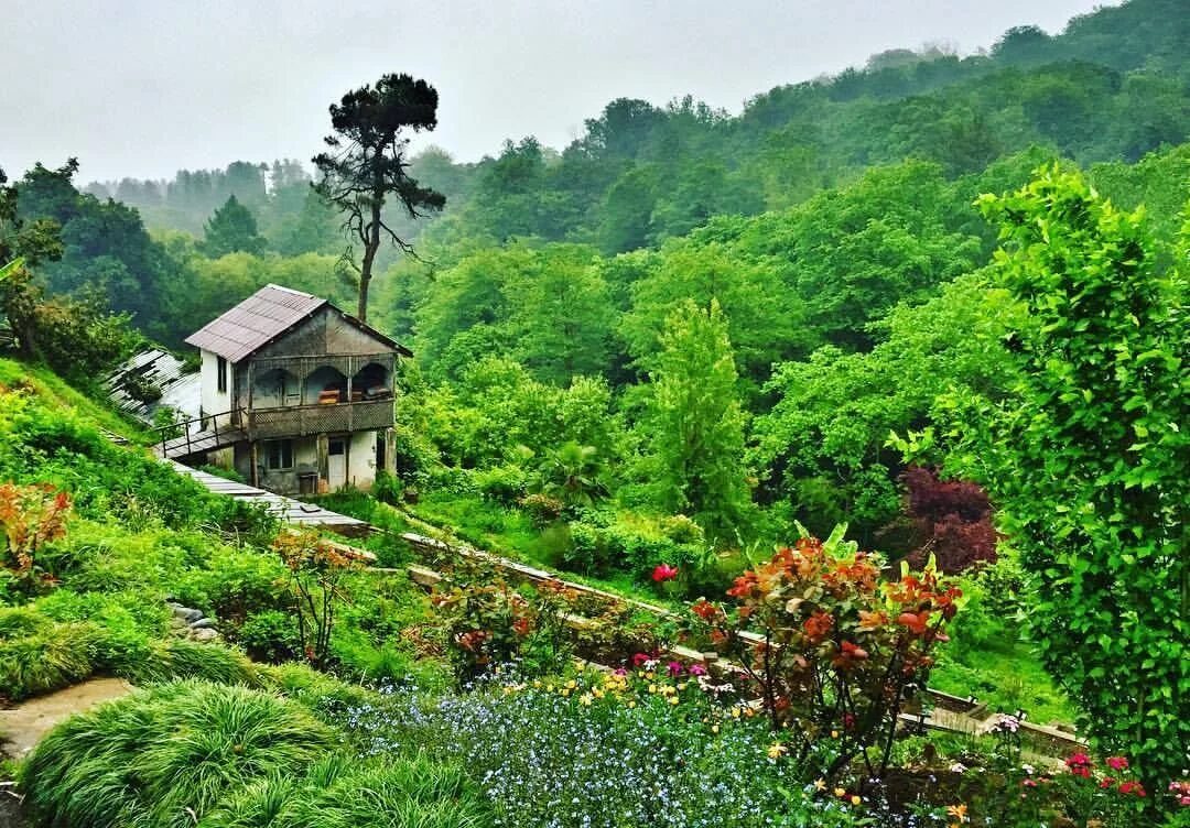 Gardens батуми. Ботанический сад батуми. махинджаури ботанический сад. ботанический скд батуми. батумский ботанический сад грузия.