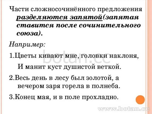 Сложные предложения разделяются запятой. Знаки препинания в сложносочиненном предложении. Части сложносочиненного предложения разделяются запятой. Сложносочиненное предложение без запятой.