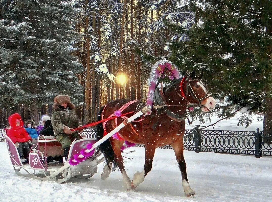 Развлечения в деревне