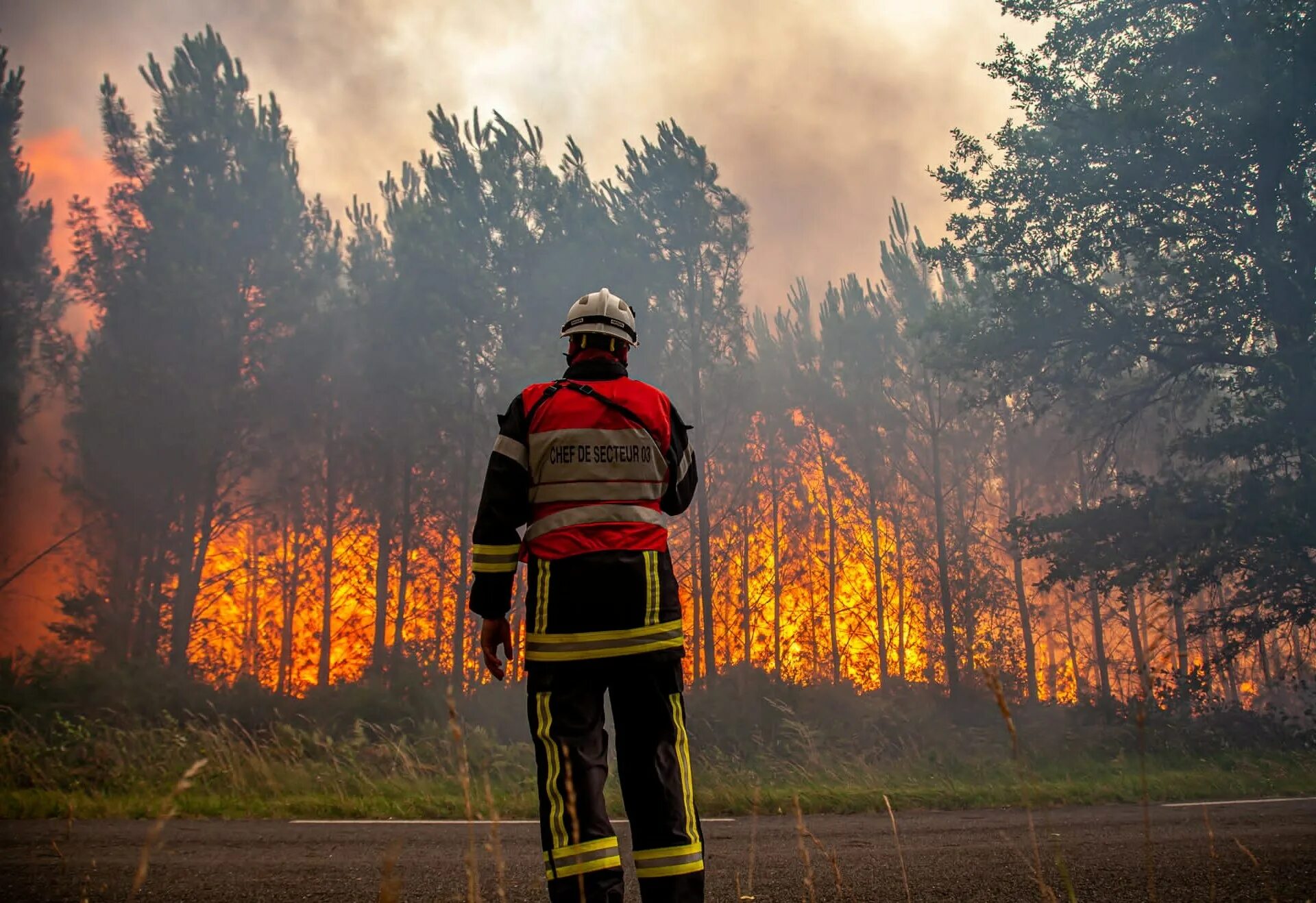 Аномальная жара и Лесные пожары в Испании 2022. Пожары в Европе. Лесной пожар в деревне арт. Лесные пожарный Европа. Сильный жар ночью