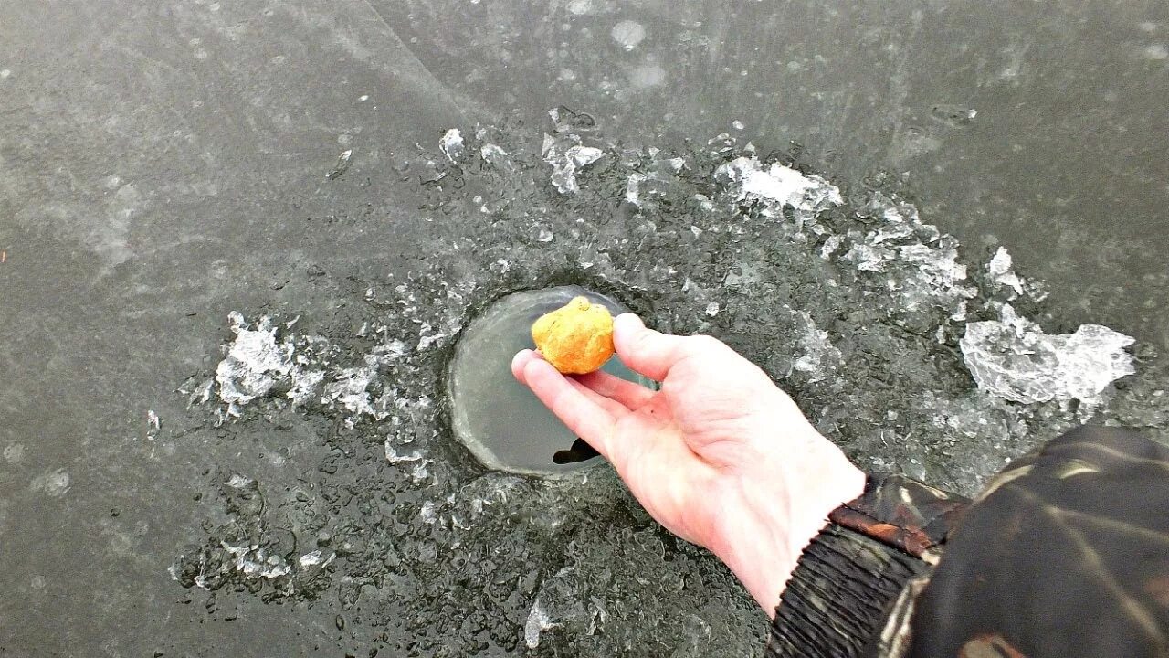 Лучшая прикормка для плотвы зимой своими руками. Прикормка для плотвы зимой. подкормка для плотвы зимой своими руками. зимняя подкормка для плотвы своими руками из подручных материалов. прикормка на плотву зимой своими руками.