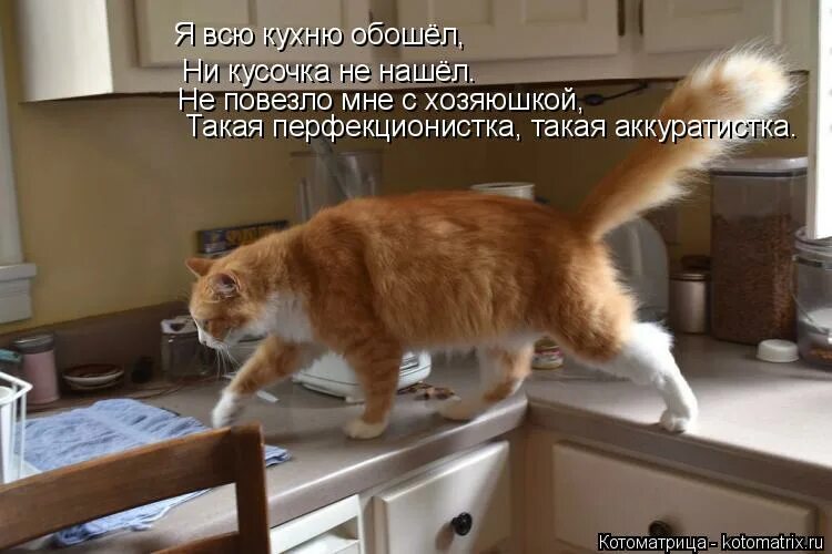 Самые верные остаются ненужными. Однажды твоё сердце кто то соберет. От меня самой не остается ни кусочка. Кусок в не идет. Ты никуда не денешься.